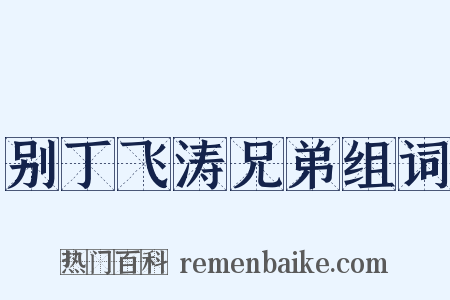 别丁飞涛兄弟组词是什么意思的图片